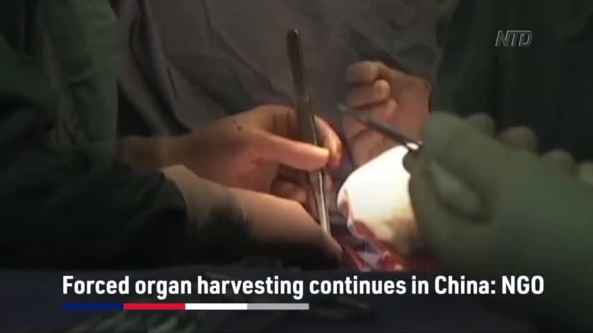 Forced Organ Harvesting Continues in China: NGO