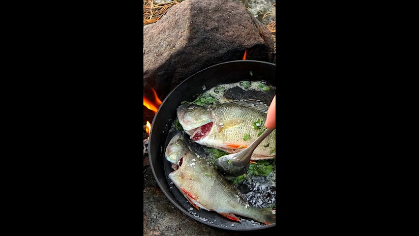 Most delicious wild-caught fish! Catch & Cook Bushcraft #shorts