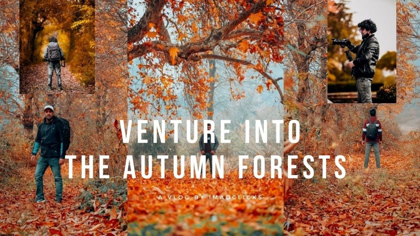Kashmir’s Autumn Blaze | Stunning Forest Visuals 😍 🔥