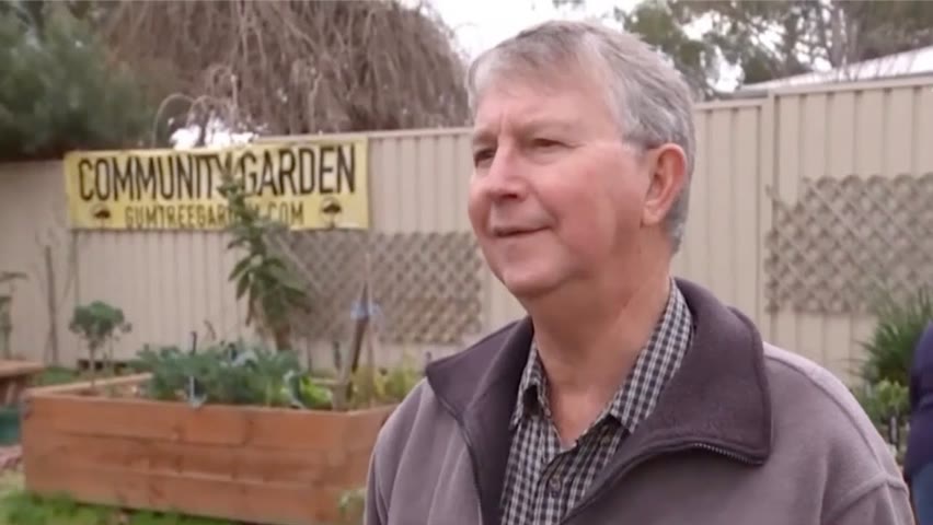 Les jardins communautaires australiens de retour en ville