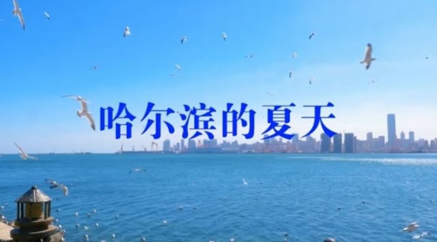 音乐视频：哈尔滨的夏天