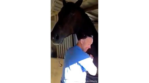 Horse Forces Man to Hug Him