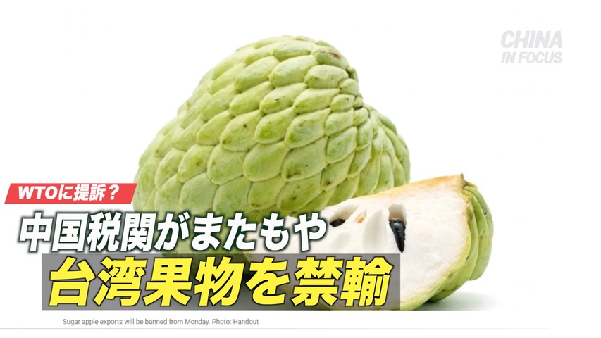 台湾 中共税関の果物禁輸でWTOに提訴か