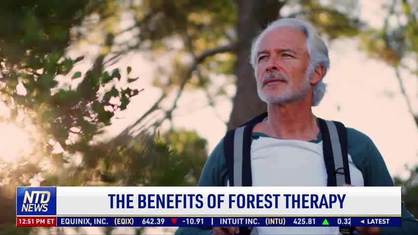 The Benefits of Forest Therapy