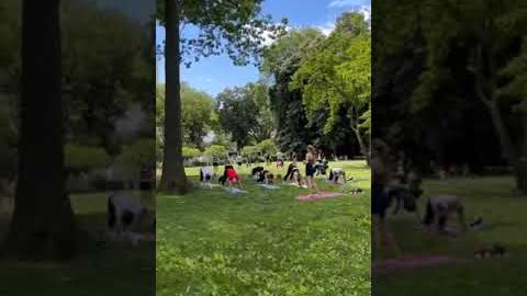 在紐約中央公園裡練瑜伽，吸氧又健身。 楊醫師出差沿途分享。