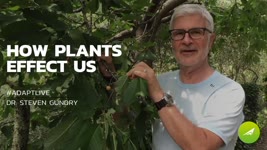 How Plants Effect Us — Dr. Steven Gundry