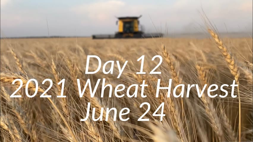 Day 12 - 2021 Wheat Harvest / June 24 (Chase, Kansas)