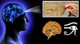 Scientists Discovered 6th Sense Connected with the Pineal Gland