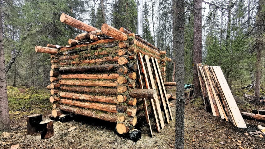 Building a Log Cabin. Wooden sauna in the taiga. Forest Film