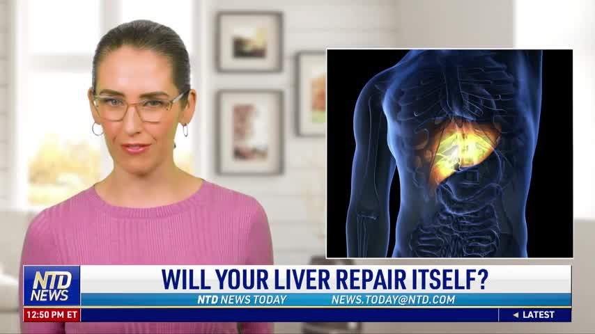 Will Your Liver Repair Itself?