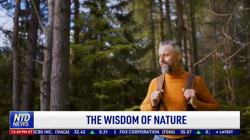 The Wisdom of Nature