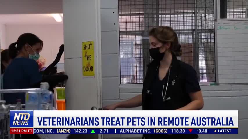 Veterinarians Treat Pets in Remote Australia
