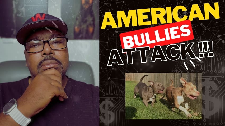 DOGUMENTARY TV REACTION: AMERICAN BULLIES ATTACK AND KILL