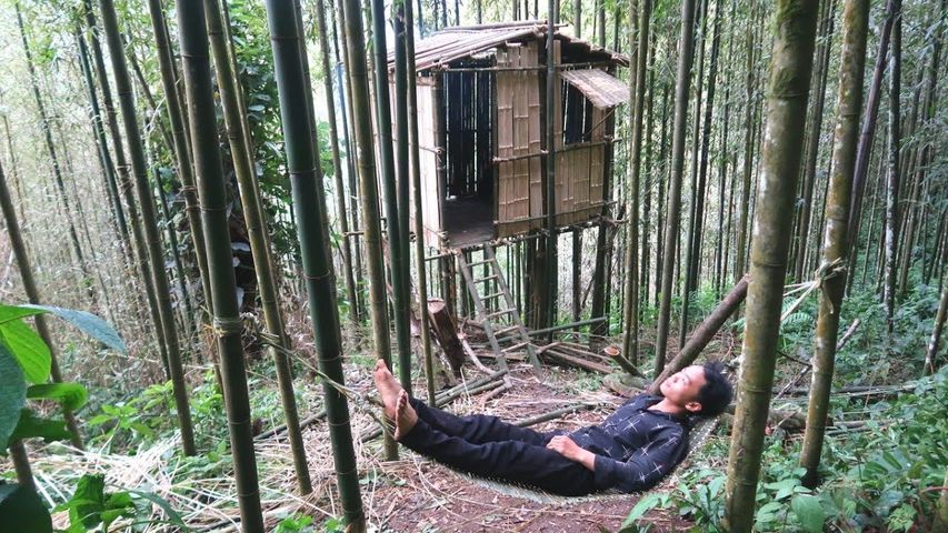 Survive in Bamboo Forest | Making Bamboo Hammock