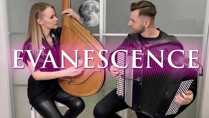 Evanescence - Bring Me To Life (Bandura and Accordion Cover)