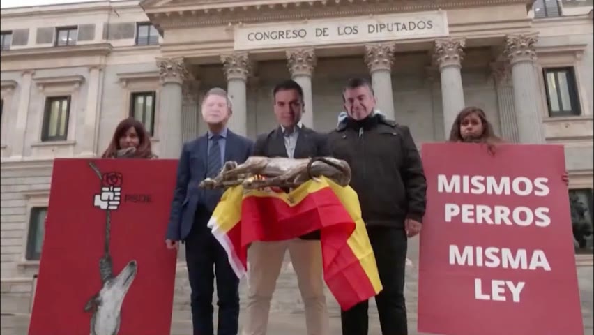Espagne : une loi sur le bien-être animal crée la polémique