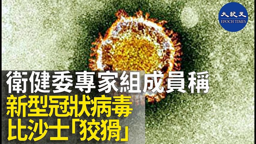 (字幕版) 國家衛健委高級別專家組成員曾光接受央視專訪時表示，新型冠狀病毒比沙士「狡猾」，原則上所有人都容易感染。_ #香港大紀元新唐人聯合新聞頻道