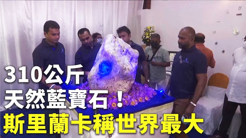 310公斤天然藍寶石！斯里蘭卡稱世界最大 - 剛玉寶石 - 國際新聞