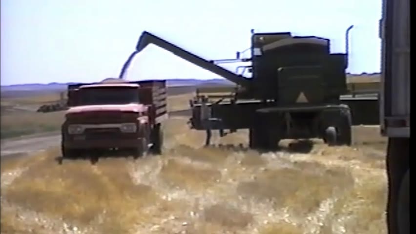 Z Crew - The Early Years / Wheat Harvest 1991 (Part 2)
