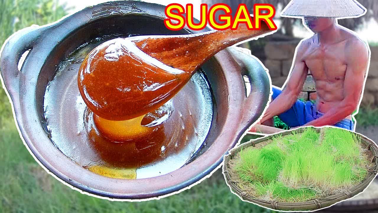 Make Sugar | World Top Secret | How It's Made Primitive