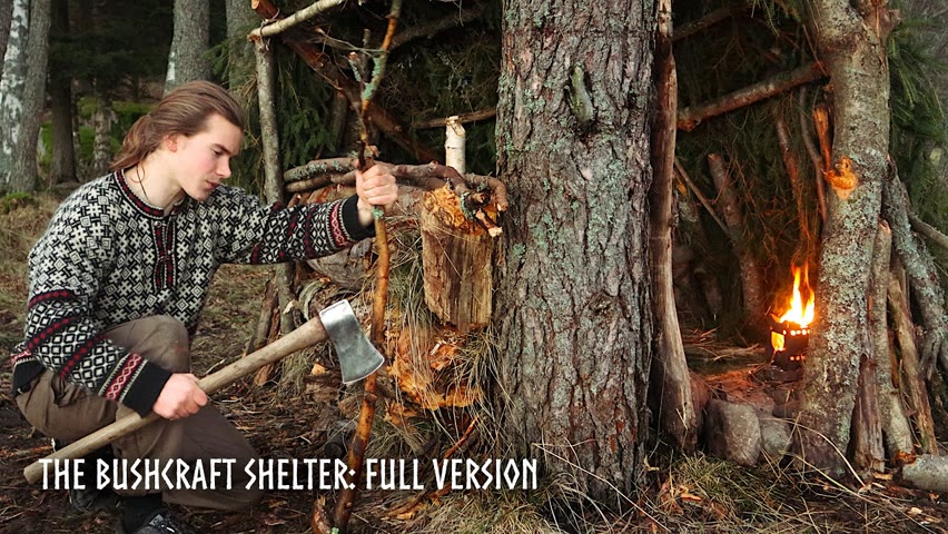 1 Hour Nature ASMR: Building a Bushcraft Shelter in the Forest (Full Version)