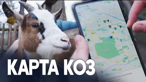 Берлинцы ищут коз с помощью цифровой карты