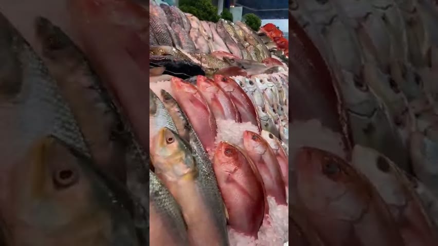 Snapper fish market #shorts ￼