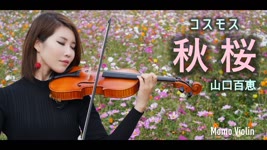 秋桜(コスモス) - 山口百恵  バイオリン(Violin Cover by Momo) 歌詞付き