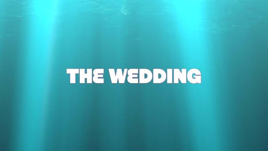 10 Videographers - Wedding of the Century Full length Documentary of Mike & AnnaLee Wedding