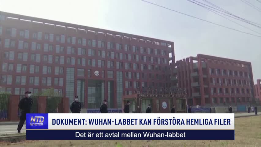 Dokument: Wuhan-labbet kan förstöra hemliga filer | NTD NYHETER