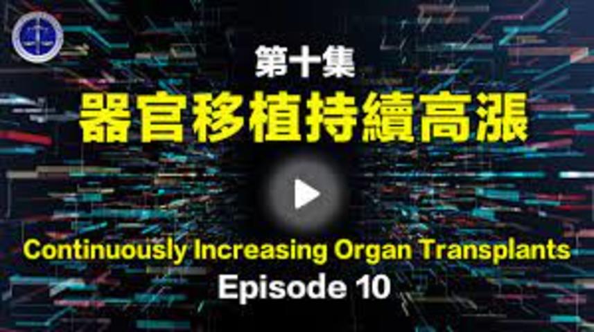 正見網【鐵證如山系列講座】第10集 2006年後器官移植持續增加 Episode 10  Continuously Increasing Organ Transplants