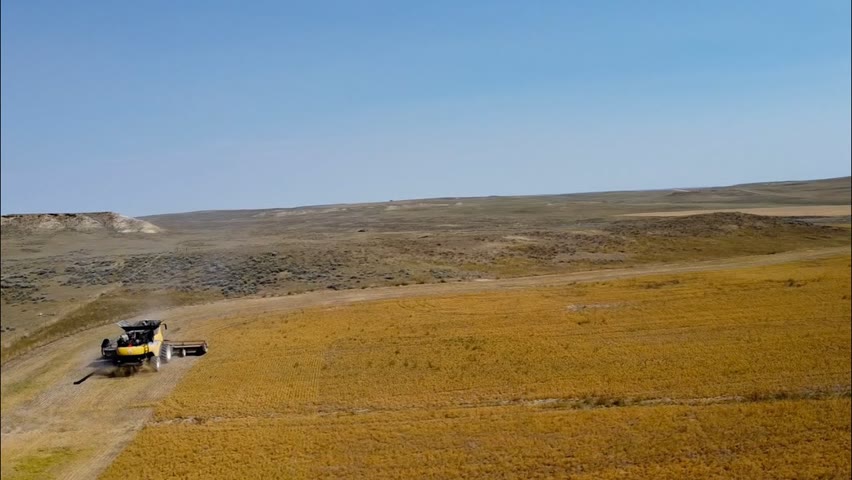 DAY 49 / 2022 Wheat Harvest / August 3 (Jordan, Montana)