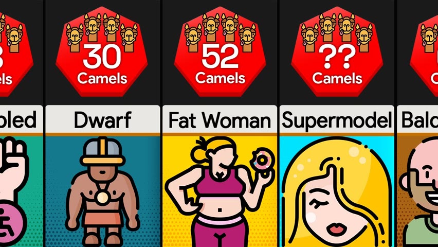Comparison: How Many Camels Are You Worth