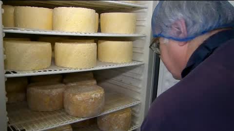 1600 сортов сыра делают в Великобритании
