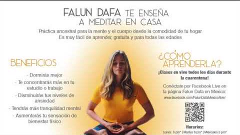 Falun Dafa: Práctica milenaria de meditación GRATUITA, muy fácil de aprender y para todas las edades