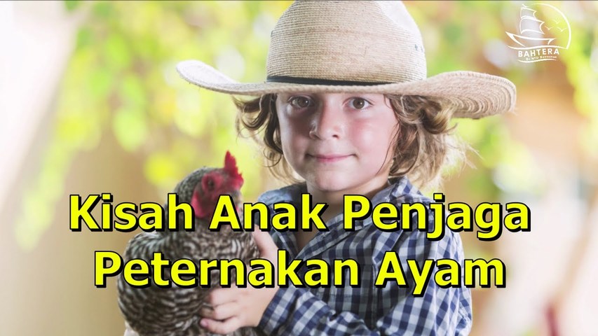 Kisah Anak Penjaga Peternakan Ayam
