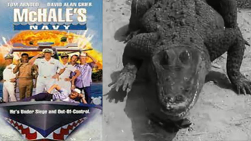 McHale´s  Navy S3E07  "Will the Alligator Take the Stand"