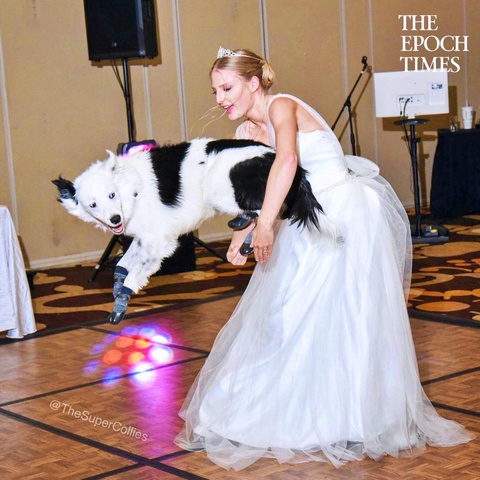 Bride Dances With Her Dog At Her Wedding