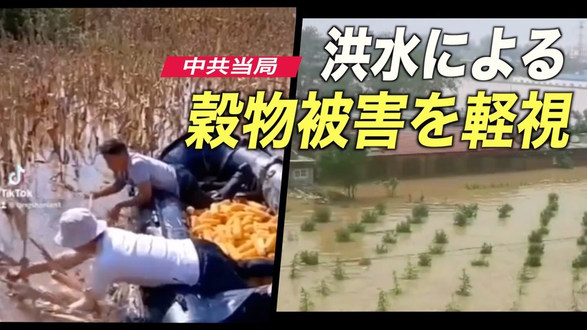 中共当局 河南省洪水による穀物被害を軽視