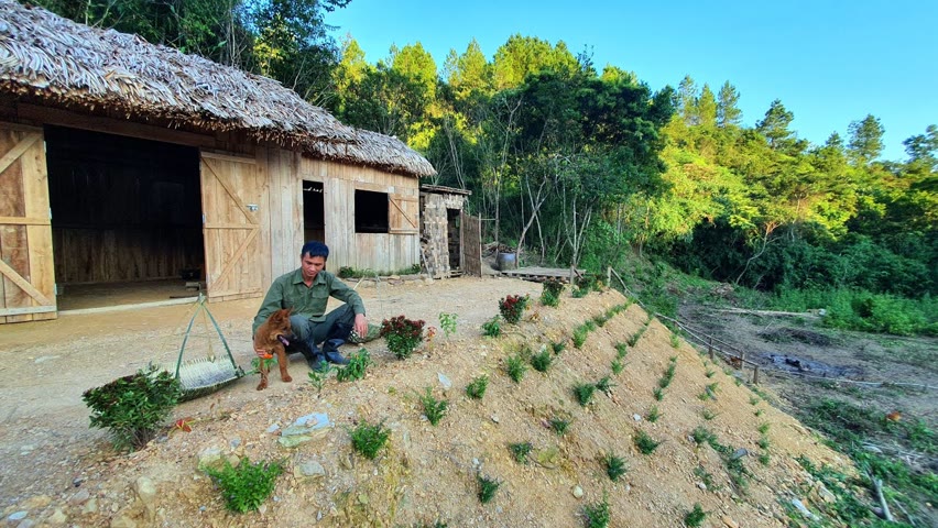 #83 Planting fruit trees, Knitting baskets for vegetable fertilizer, Live With Nature