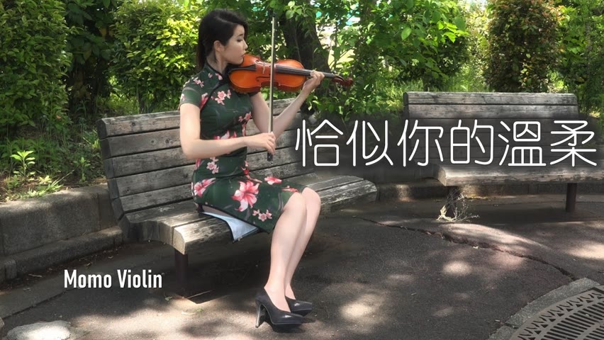 恰似你的溫柔 - 蔡琴/鄧麗君 小提琴(Violin Cover by Momo)