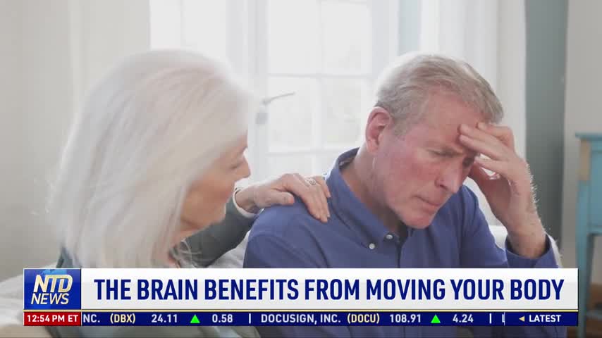 The Brain Benefits From Moving Your Body