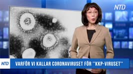 Varför vi kallar coronaviruset för "KKP-viruset" | KINA I FOKUS