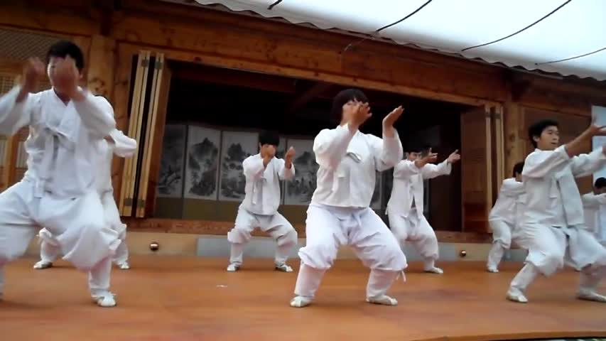 택견 공연...Taekkyeon...Korean Martial Art ..2012 전주 아시아태평양 문화 축제...전주한옥마을. Jeonju Hanok village .全州市韓屋村 (3)