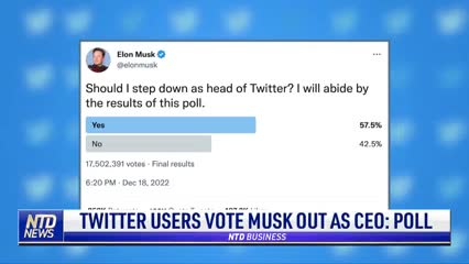 Twitter Users Vote Musk Out as CEO: Poll