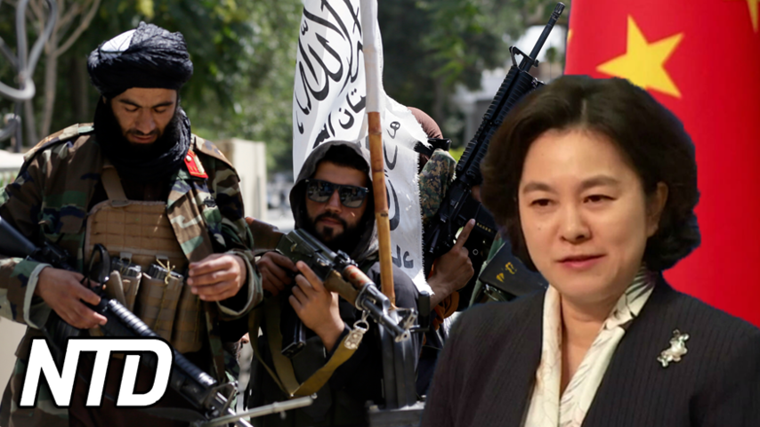 Peking lovordar Talibanerna som "mer rationella" | NTD NYHETER