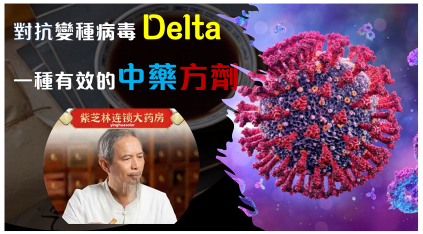 對抗 Delta 病毒有效中藥方劑, 歡迎轉發！