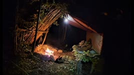4 days solo bushcraft camp: Survival skills, fire roof, wild camping, tarp shelter, asmr PART: 2