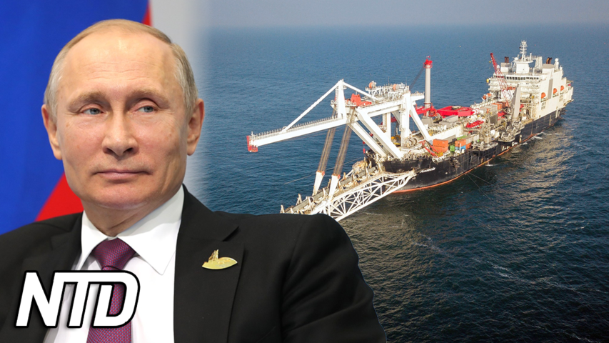 Putin: Gasledning kan snabbt pumpa gas till EU | NTD NYHETER