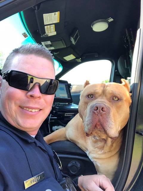 Texas Police Officer Poses With Dog After Responding To "Vicious" Animal Call